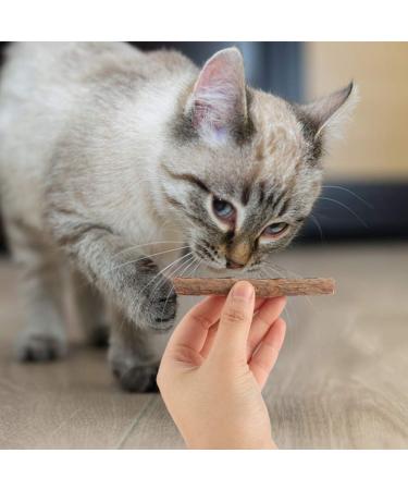 tiopeia 30 PCS Cat Catnip Sticks Natural Matatabi Chew Sticks as Dental Treat Teeth Grinding Chew Toys for Cat Kitten Kitty - Buy Online on GoSupps.com