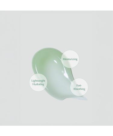 KAINE Green Calm Aqua Soothing Cream 70ml - Buy Online on GoSupps.com