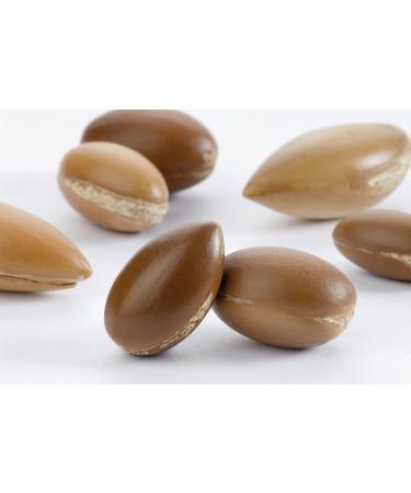 So Bio tic Conditioner for Shiny Hair | Organic Argan Oil & Oleic Acid | Vegan Sulfate-Free Deep Hydration - 6.76 fl oz - Buy Online on GoSupps.com