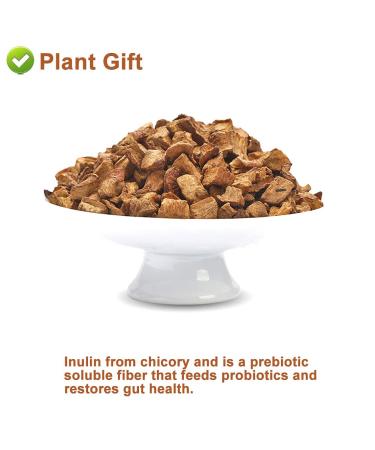 Plantgift Chicory Root Tea 180g - Caffeine-Free Natural Coffee Replacement Keto & Kosher | Chicor e Coffee Alternative - Buy Online on GoSupps.com