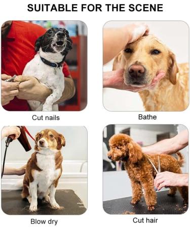 Grooming Hammock Sling for Dogs & Cats | Breathable Pet Holder for Bathing & Nail Trimming - Buy Online on GoSupps.com