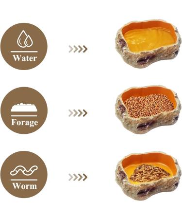 Reptile Growth 4 Pieces Reptile Water Dish Food Bowl Set includes 2 Food Feeder Bowl Resin Reptile Bowl Water Bowl 2 Feeding Tweezer Reptile Rock Feeder for Tortoise Lizard Frog Gecko Snake Chameleon - Buy Online on GoSupps.com