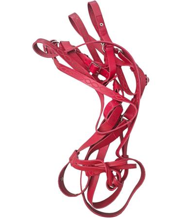 Halter for Horse | Safety Halter Chin & Throat Snap Heavy Duty Tied Halter | Comfortable Padded Nylon Horse Halter for Training Equestrian Grooming Rowces Red - Buy Online on GoSupps.com