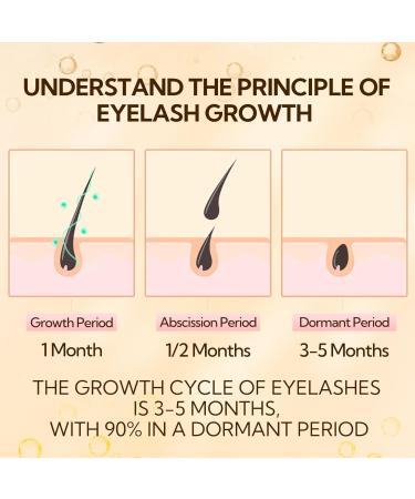 LANBENA Eyelash serum eyelash growth serum natural and safe ingredients 4 ml - Buy Online on GoSupps.com