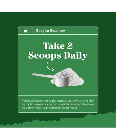 Micronized Creatine Monohydrate Powder for Men & Women - Pre & Post Workout Pure Creatine for Women & Men for Muscle Growth & Recovery - Raw Unflavored Nutritional Supplements for Muscle Gain - 500g 500g (Pack of 1) - Buy Online on GoSupps.com