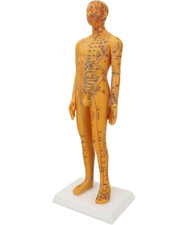 High-Quality Acupuncture Point Body Model - Exquisite Craftsmanship & Practical Accessories for Training - Buy Online on GoSupps.com