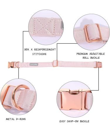Lionet Paws Silk Dog Collar with Removable Fly - Comfortable XS Collar for Puppies & Cats Neck 20-30cm Pink - 1 Pack - Buy Online on GoSupps.com