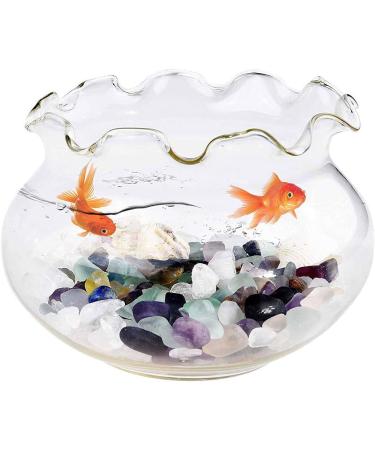 WAYBER Decorative Crystal Pebbles 1 lb - Natural Quartz Stones for Aquarium and Terrarium Decor - Multicolored Sea Glass Rock Sand - 460g Fill 0.9 Cup - Perfect for Fish/Turtle Tanks and Air Plants - Buy Online on GoSupps.com