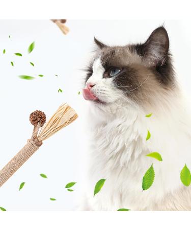 Hiqe-fl Cat Toy Set - 6pcs Catnip Sticks & 15pcs Dental Toys for Cats - Matatabi Chewing Wood - Safe & Natural Chewing Toy - Buy Online on GoSupps.com