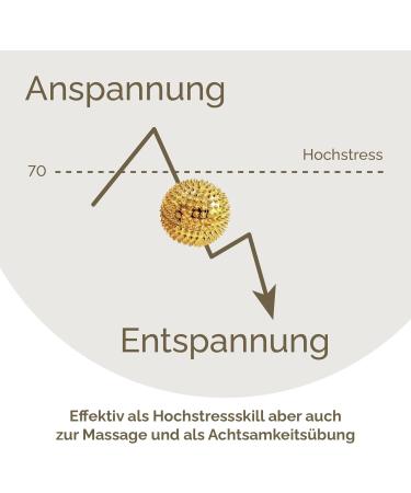 Buy 2x DBT Skills Hedgehog Balls | Magnetic High Stress Acupressure Balls for Stress Relief Massage & Mobility | Gold 47mm - Buy Online on GoSupps.com