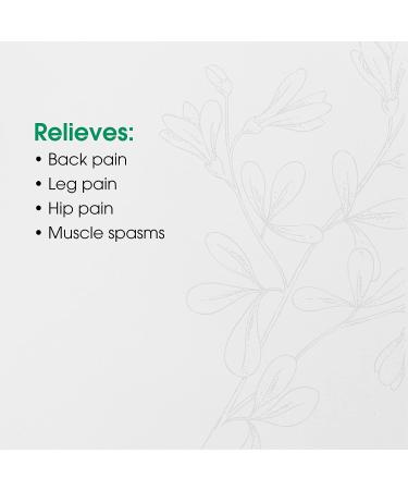 BHI Back Natural Pain Relief Tablets - 6 Active Homeopathic Ingredients for Back, Hip & Leg Pain - Calms Muscle Tightness & Spasms - 100 Tablets - Buy Online on GoSupps.com