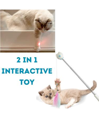 PETVERA Retractable Wand Cat Toy - Interactive Feather String Toy for Indoor Play - Best Teaser Laser Toy for Kittens - Blue Cat Fishing Stick - Buy Online on GoSupps.com