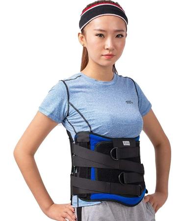 Pho Posture Corrector - Sacred Backrest Corset & Vertebral Orthosis Support Belt (Large) for Commemoration Day - Optimal Spine Alignment & Comfort - Buy Online on GoSupps.com