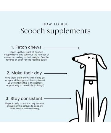 Scooch Allergy & Itching Chews | Vet-Formulated Hypoallergenic Plant-Based Treats | Peanut Butter & Coconut | Soothes Itchy Skin | 60 Chews - Buy Online on GoSupps.com