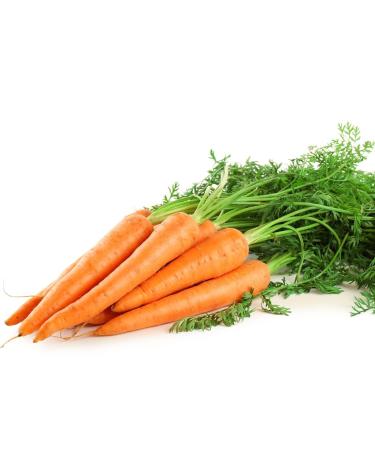 Yari 100% Natural Carrot Oil - 250ml | Premium Carrot Oil for Skin and Hair | Shop Internationally - Buy Online on GoSupps.com