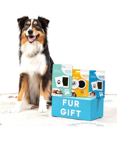 Paw Print Stamp Pad Kit | Pet-Safe Ink | No-Mess Imprint Cards | Pet Memorial Keepsake for Dogs, Cats, and Small Pets - Buy Online on GoSupps.com