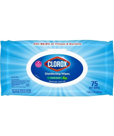 Clorox Disinfecting Wipes, Fresh Scent - 75 Count | Effective Cleaning & Germ Protection - Buy Online on GoSupps.com
