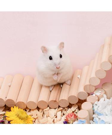 Wooden Rat Ladder Bridge Climbing Toy for Small Animals - Bird, Hamster, Mouse, Sugar Glider - Cage Accessories (23.62x3.14 Inches) - Buy Online on GoSupps.com