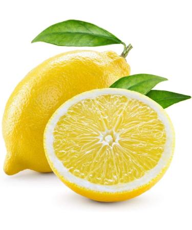 Pack of 3 syrups without sugar lime lime - Buy Online on GoSupps.com