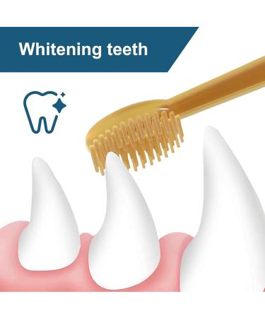 LOXGO 2 Pet Handled 360-Degree Cylinder Cleaning Pet Small - Buy Online on GoSupps.com