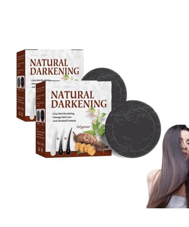 Organic Grey Reverse Shampoo Bar Solid shampoo pour cheveux Barre de shampooing inverse de cheveux gris organique naturel barre de shampooing assombrissant les cheveux racine de Fleeceflower (2PCS)