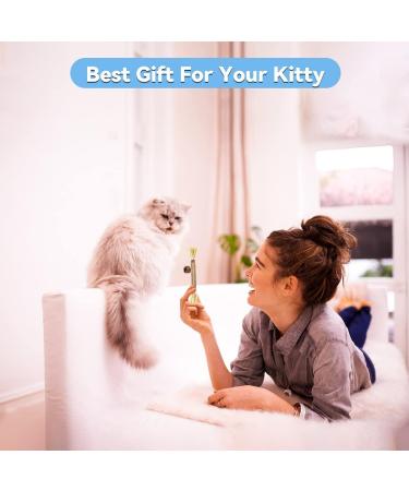 Aucenix Cat Chew Toy Silvercine Sticks for Indoor Cats Natural Matatabi Cat Teeth Cleaning Toy Kitten Teething Chew Stick for Kitty Pets Exercise Playing Chewing (3 Sticks) - Buy Online on GoSupps.com