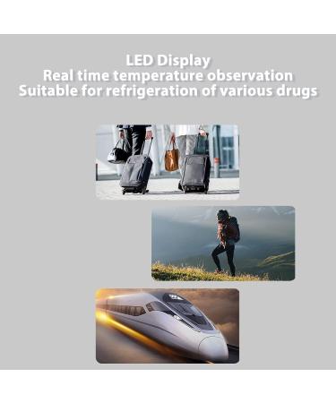 Portable Electric Mini Cooler Box - Insulin Cooler Case with Fast Cooling & LED Display - Buy Online on GoSupps.com