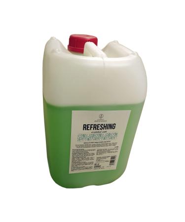 Light Irridiance LIGHT IRRIDIANCE CHAMPU Menthe CARAFA 10L L.I Unique 10000