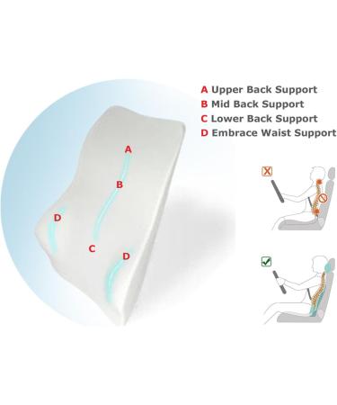 Tektrum Orthopedic Lumbar Cushion for Back Pain Relief - Ergonomic Support for Home Office & Car Seat - Improve Posture - Black (015-A - Buy Online on GoSupps.com