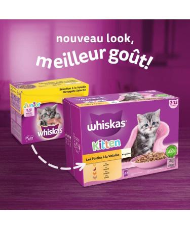 WHISKAS Kitten Meal 48 Fresh Sachets (Pack of 4 Packs 12 x 85g) Poultry Feasts (4 Varieties) Junior Cat Food in Jelly - Buy Online on GoSupps.com