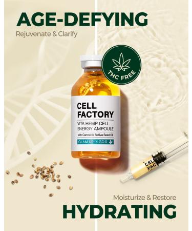 Glam Up x GD11 Hemp & Hyaluronic Acid Anti-Aging Serum 1.18 Fl Oz - Hydrating Brightening Facial Serum with Vitamin Stem Cells - Pack of 1 - Buy Online on GoSupps.com