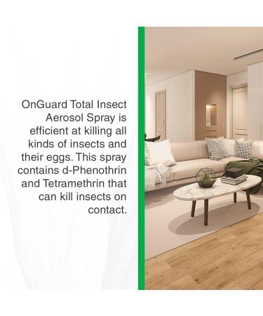 OnGuard Total Insect Aerosol Spray Can 400g | Insect Killer for Indoor and Outdoor Use | Kills Crawling and Flying Insects on Contact | Ants Spiders Earwigs Cockroaches 1-Pack - Buy Online on GoSupps.com