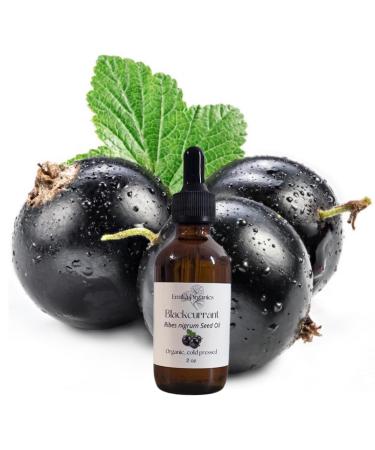 Blackcurrant Seed Oil Organic Cold Pressed Unrefined Natural 2 Fl Oz