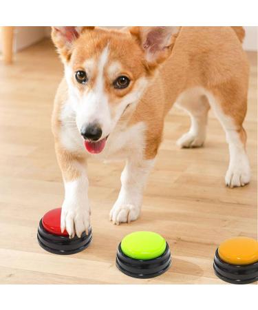 Fivtsme 4-Piece Dog Buzzer with Recording Function | Interactive Pet Training Bell & Sound Buttons for Dogs - Buy Online on GoSupps.com