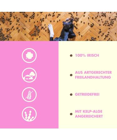 Irish Pure Dry Dog Food 1.5kg | Weidelamm & Freiland-Huhn | High Meat Cereal-Free Sensitive Formula | All Breeds - Buy Online on GoSupps.com