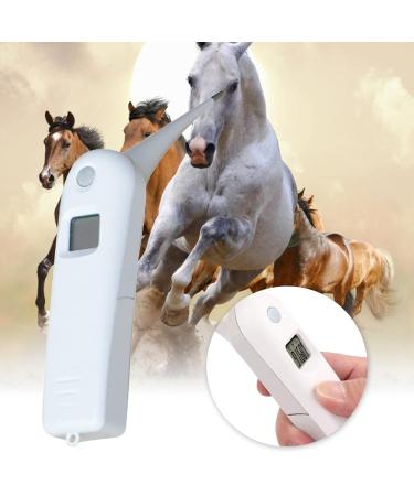 Pet Thermometer With Probe For Accurate Temperature Detection Suitable For Cats Dogs LCD Display For Cat Dog Thermometer Veterinary Thermometer Digital For Small Animals Large Animals Dogs Horse Cats - Buy Online on GoSupps.com