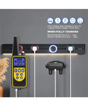 Buy Classic Nylon Dog Collars - Breathable Waterproof Easy to Handle for All Sizes | International Shipping Available - Buy Online on GoSupps.com