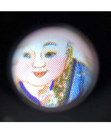 Magnifying Glass 30 Times Folding Geological Wenwan Magnifying Glass for Reading Crafts Repair Magnifier Silver Lofty Ambition - Buy Online on GoSupps.com