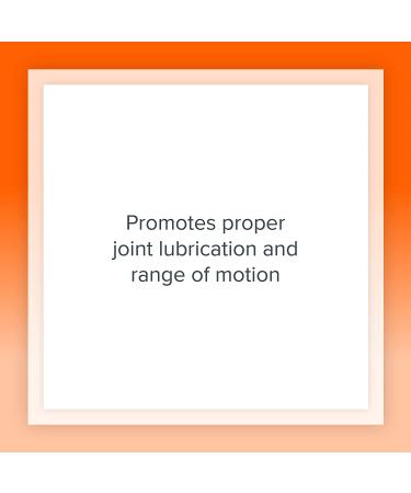 Natural Factors Glucosamine & Chondroitin 500mg400mg - Joint Support Supplement, 120 Capsules - Buy Online on GoSupps.com