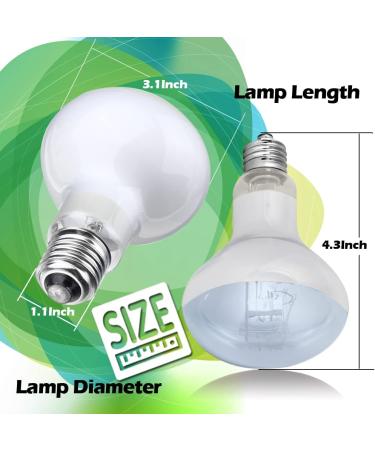 MCLANZOO 2 Pack 75W Reptile Heat Lamp Bulb/Light + Digital Thermometer - Ideal for Lizard, Tortoise, Bearded Dragon, Hedgehogs - UVA Basking Spot Heat Lamp for Reptiles & Amphibians - Buy Online on GoSupps.com