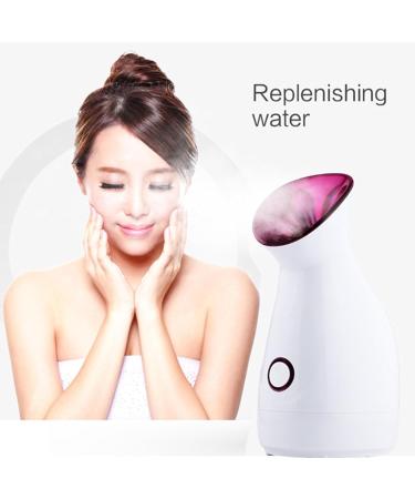 Humidificateur Facial usage domestique vapeur professionnelle Nano ionique vaporisateur chaud pour r duire les rides hydratant C - Buy Online on GoSupps.com