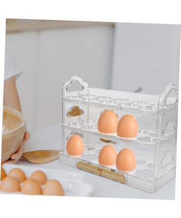 Generic Egg Carton Eggs Fridge Refrigerator Egg Storage Rack Egg Dispenser Egg Tray Egg Rack Dog Egg Box As Shown1 25X20CM - Buy Online on GoSupps.com