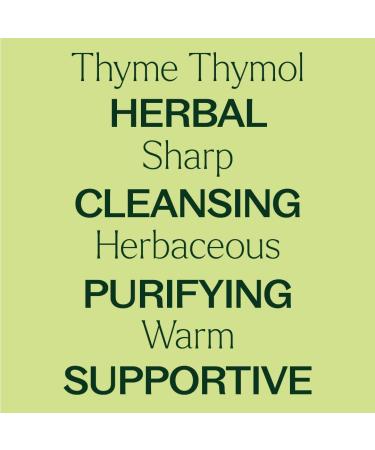 Plant Therapy Thyme Thymol Essential Oil 10 mL (1/3 oz) 100% Pure Undiluted Natural Aromatherapy for Immune Support and Digestive Relief - Buy Online on GoSupps.com