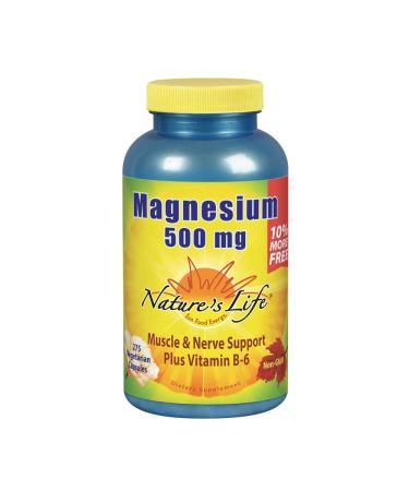 Natures Life Magnesium 500mg | High Potency Magnesium Supplement Plus Vitamin B-6 for Muscle & Nerve Support | Non-GMO | 275 Vegetarian Capsules 275 Count (Pack of 1)