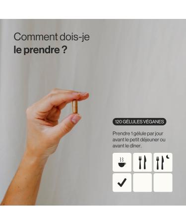 Peruvian Maca Root Extract 4000 mg Highly Concentrated 10:1 120 Capsules | Energy Stamina Memory Immunity & Hormone Balance | 100% Natural Ingredients | Zenement - Buy Online on GoSupps.com