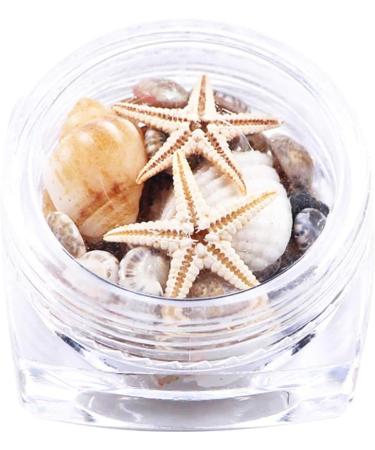 2 Boxes 3D Natural Nail Art Decorations - Mini Conch Shells & Starfish Beach Ornaments for DIY Manicure Tools - Buy Online on GoSupps.com