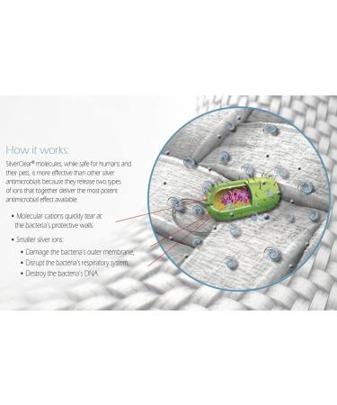SilverClear PLUS 2cm x 30cm Professional Care Antibacterial Silver Rope Dressings - 2 Pack - Buy Online on GoSupps.com