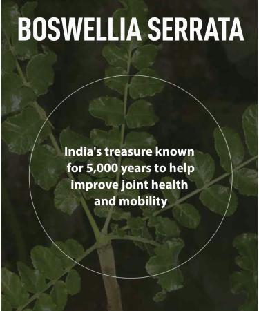 Bio Joints Health Supplement with 1000mg Boswellia - 60 Tablets - Buy Online on GoSupps.com