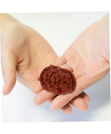 Beaupretty Walnut Fitness Handball Massage Balls - Set of 4 Wooden Stress Relief Balls for Adults - Perfect for Gym & Home Use - Buy Online on GoSupps.com