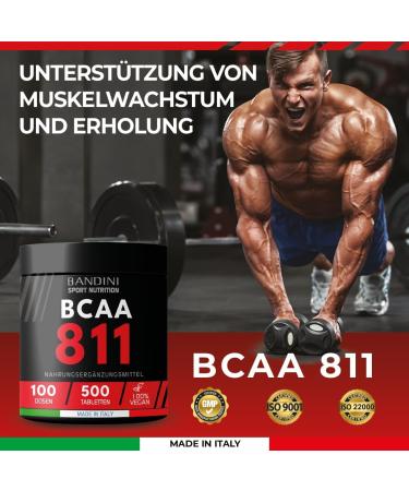 BANDINI BCAA 8:1:1 - Premium Branched-Chain Amino Acids (500 Tablets) | Muscle Building Supplements with Leucine Isoleucine Valine & Vitamins B1 & B6 | High Dose Lactose-Free Pre/Post Workout Support - Buy Online on GoSupps.com